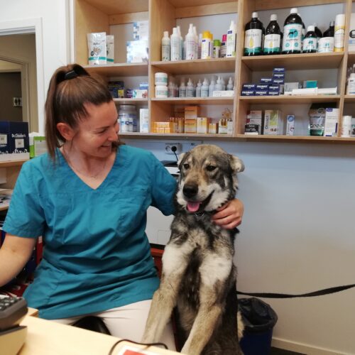 Marthe Finstad Nordgård